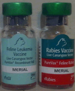 Two recombinant vaccines made by Merial