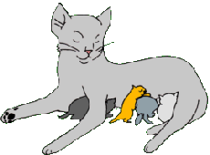 drawing of a cat nursing kittens