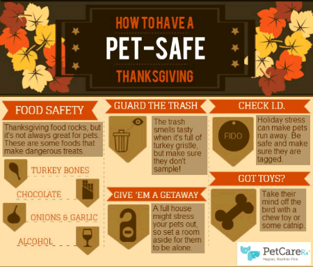 Pet Safe Thanksgiving Infographic