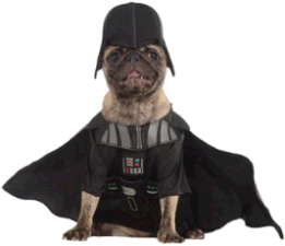 Darth Vader Dog