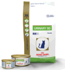 Royal Canin Food