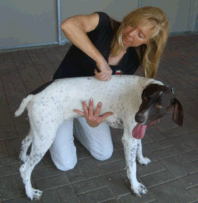 Dr. Jenny Johnson with dog