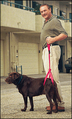 dog in rear sling