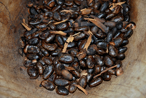 Roasted Cacao beans