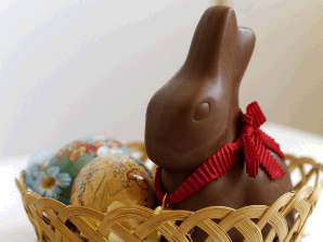 CHOCOLATE Bunny