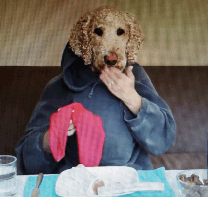 Screen Shot from The Frey Life - YouTube Video - Dog with Human Body 