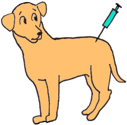 Dog getting injection illustration