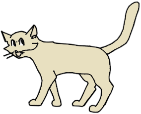 illustration of soiling cat