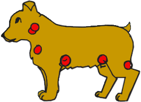 Graphic showing lymph nodes on a dog