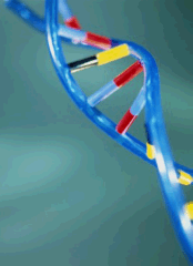 Strand of DNA.
