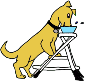 dog using stool to eat