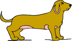 Illustration of dog with dermatitis