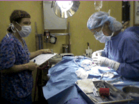Staff in surgery