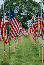 Row of flags
